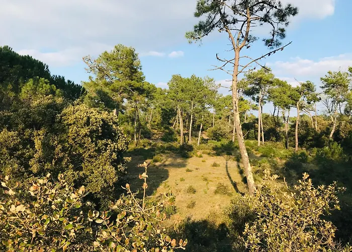 Ocean Immersif, Du Front De *